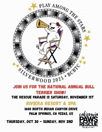 Silverwood National Bull Terrier dog show 2025- video compliments of Steven Perry